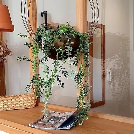 La Perle Rare - Centre-ville