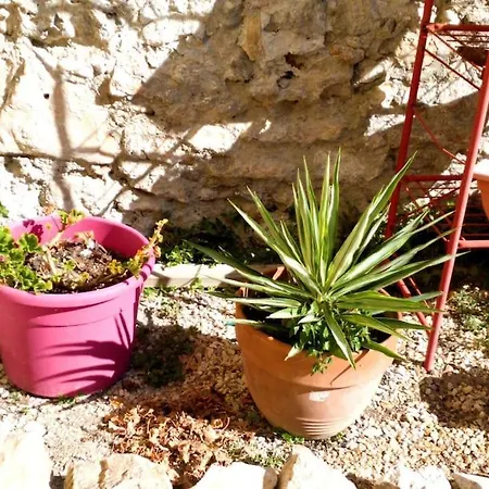 La Perle Rare - Centre-ville